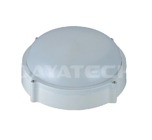 2W IP65 Outdoor LED Bulkhead